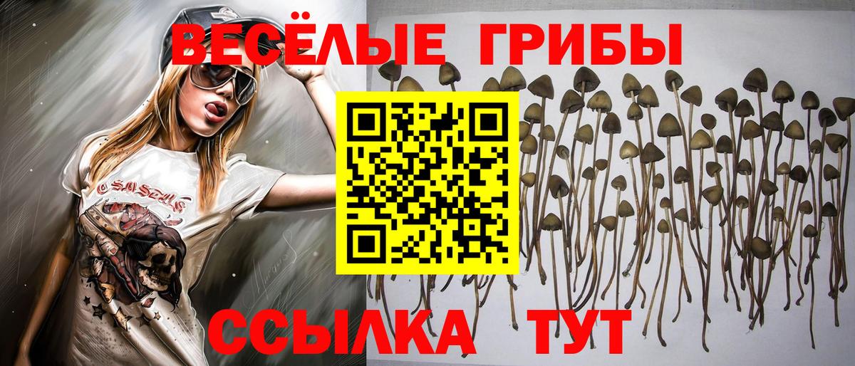 Галлюциногенные грибы Cubensis Отрадный